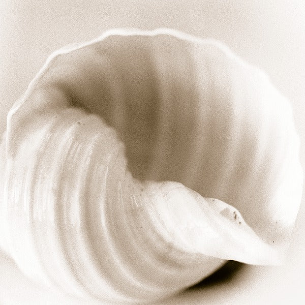 AFSCB1169DMARF