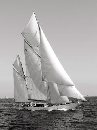 3FSA3AP3305MARF