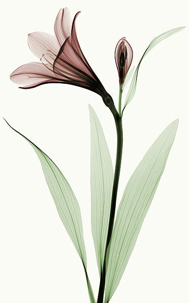 GFSCC1031DFIOF