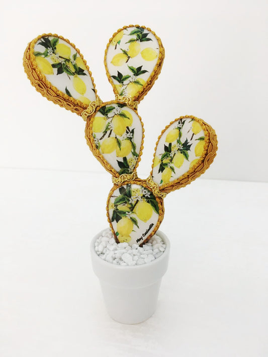 Piantina Siciliana - Mini