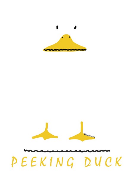 DSCP49DCUC