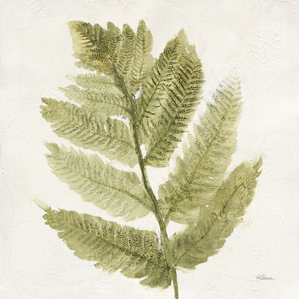 ASCWA36371FIO