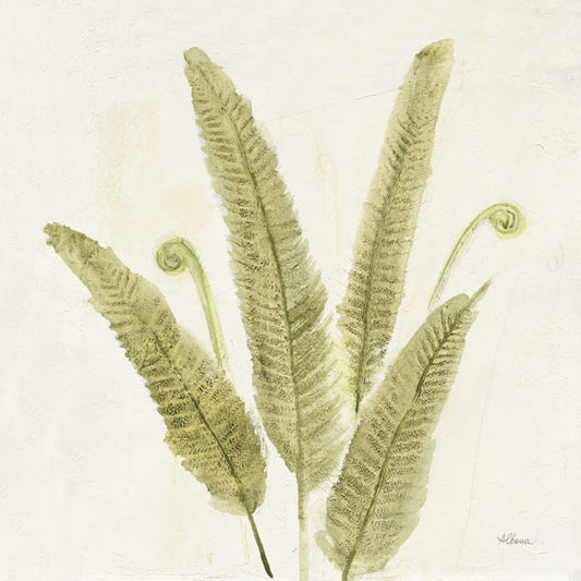 ASCWA36988FIO
